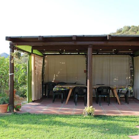 פלומינימאג'ורה Il Girasole Alloggio מראה חיצוני תמונה